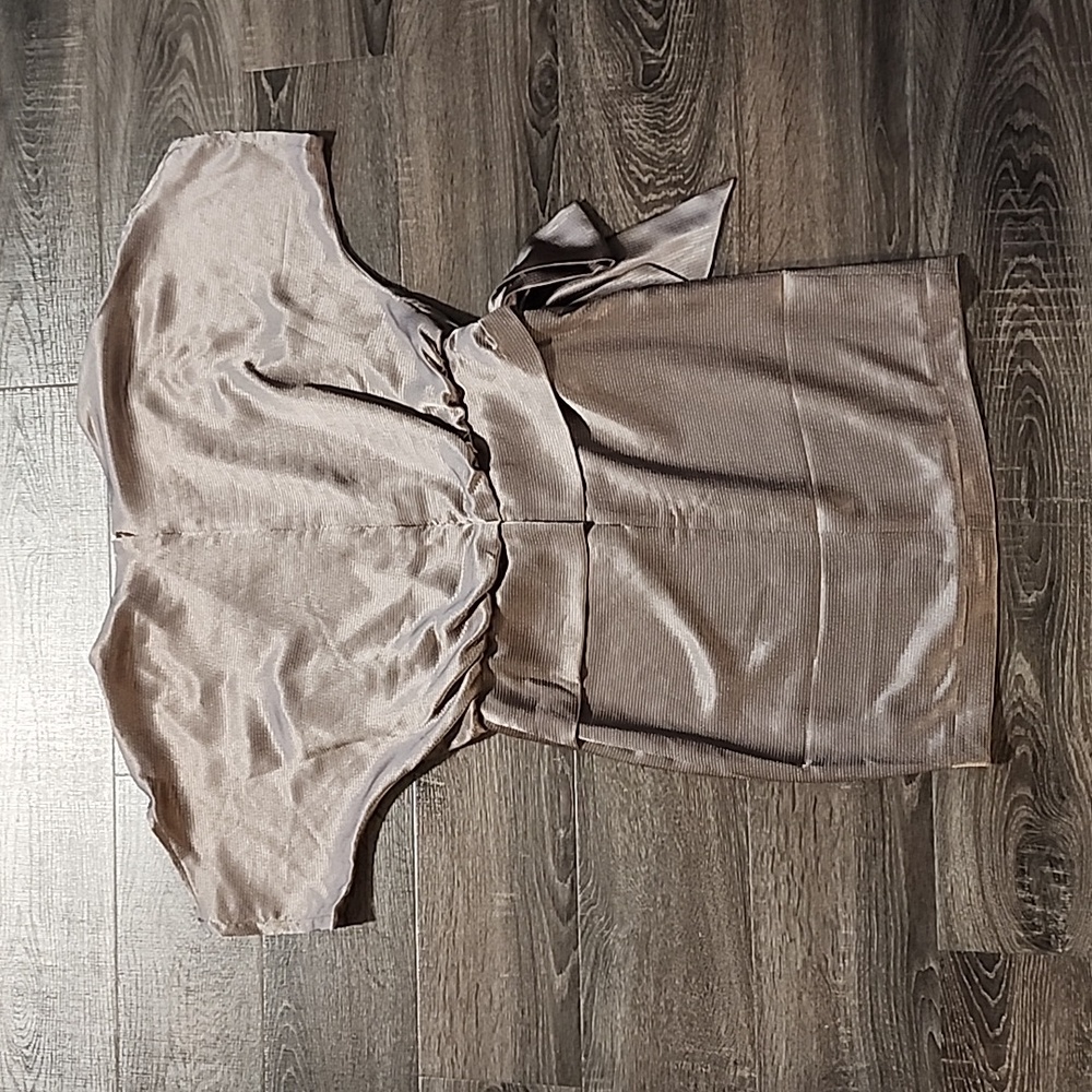 🦇 The Limited Shimmering Taupe Mini Dress 🦇 - Picture 5 of 5